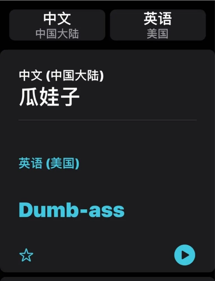 房县苹果手机维修分享iOS14的“翻译太懂了”怎么用 